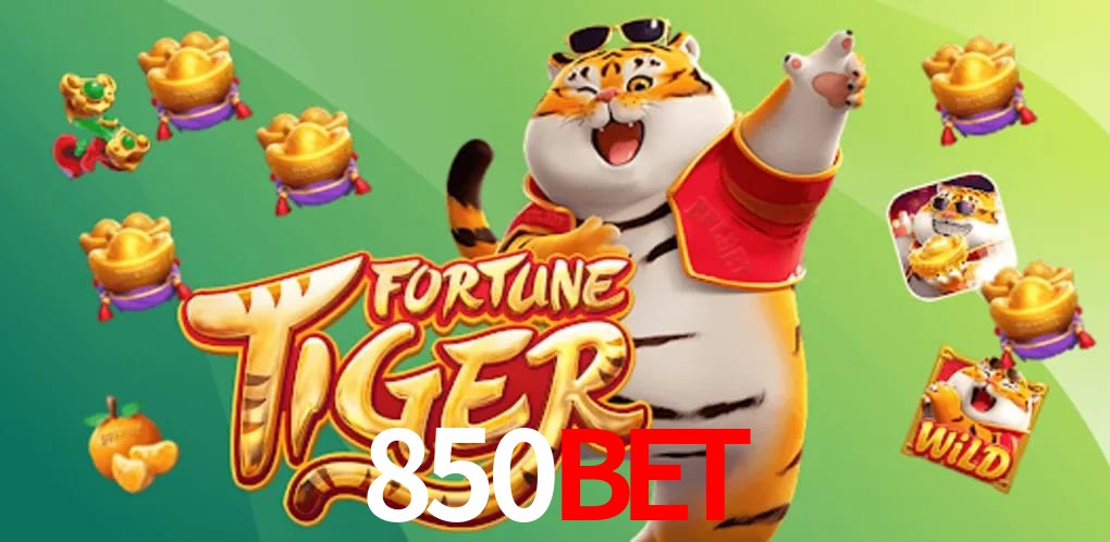 Experiência VIP 850BET
